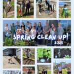 Spring Clean Up 2025